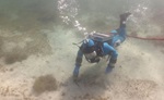 Taucher der Unterwasserarchäologie untersucht Seeboden, Foto Unterwasserarchäologie der Stadt Zürich