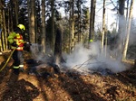 Feuerwehr löscht Brand im Wald