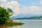 Sempachersee mit Blick in Richtung Pilatus