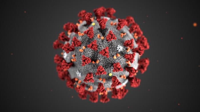 Illustration des neuen Coronavirus (2019-nCoV). Bildquelle: Center for Disease Control and Prevention (CDC) / Alissa Eckert, MS