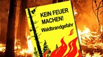 Trockenheit: Kanton schränkt Wasserentnahmen ein und verhängt ein absolutes Feuerverbot im Wald und in Waldesnähe