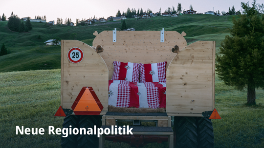 Neue Regionalpolitik