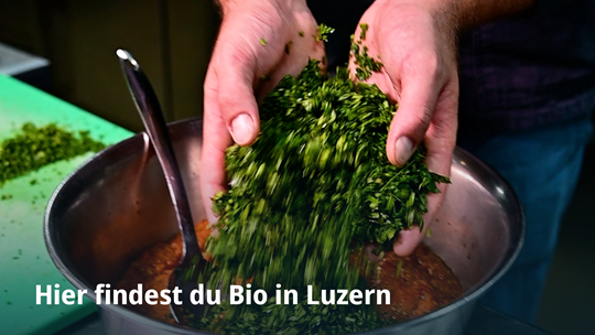Hier findest du Bio in Luzern