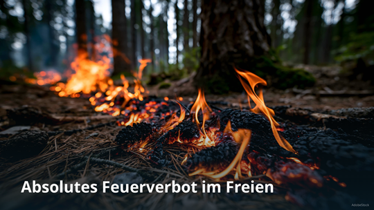 Absolutes Feuerverbot im Freien, Flammen auf einem Waldboden