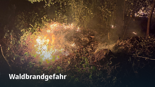 Waldbrandgefahr, Flammen auf einem Waldboden