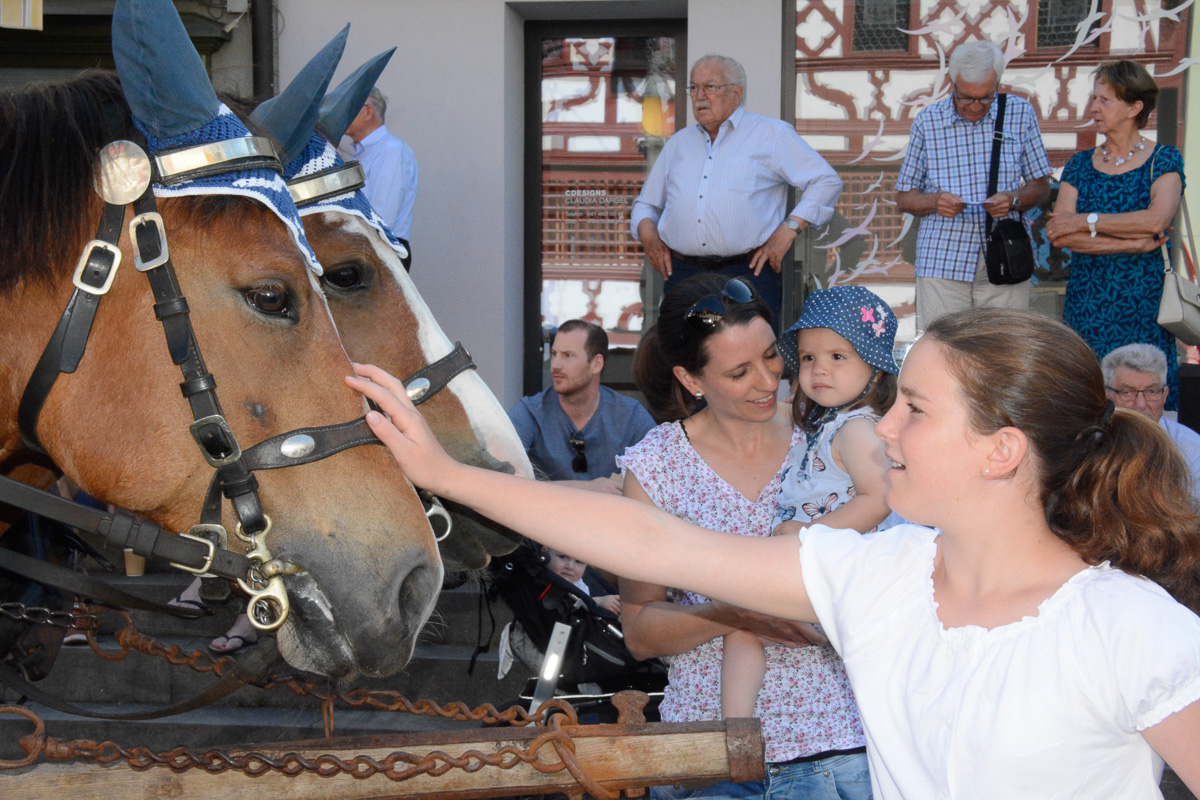 Ein Fest zum Anfassen