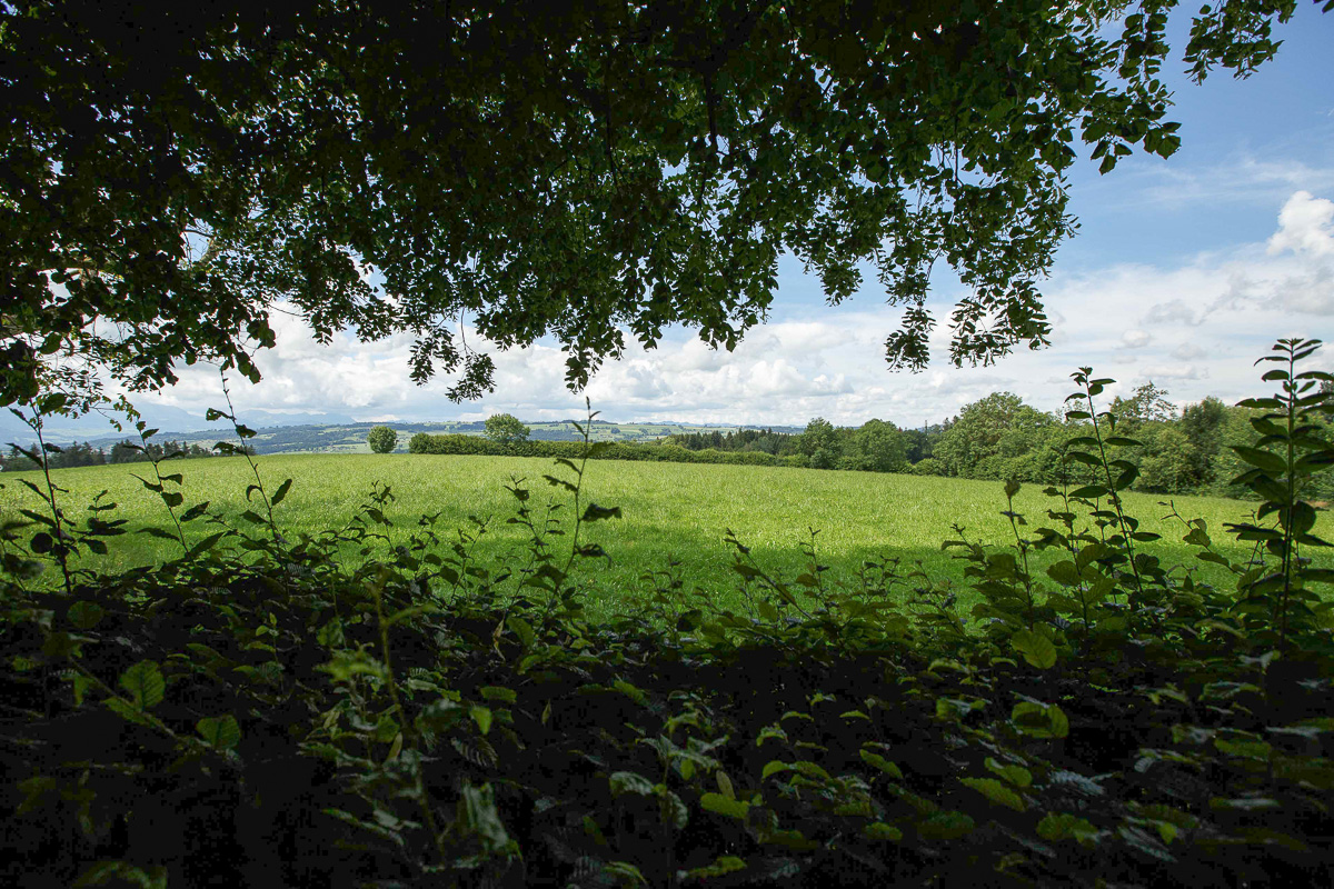 Gedenkfeier Sempach 2020